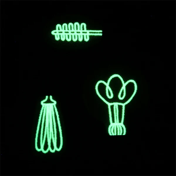 Spark of Genius (Vinyl Applique) - Image 6