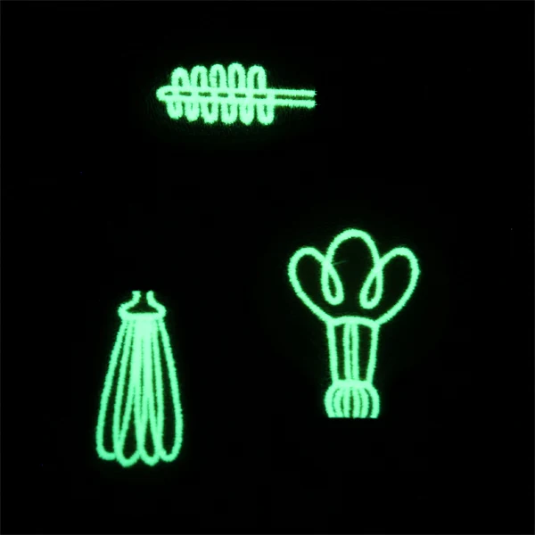 Spark of Genius (Vinyl Applique) - Image 9
