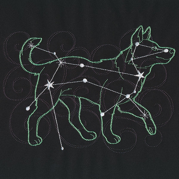 Stellar Constellations - Canis Major - Image 3