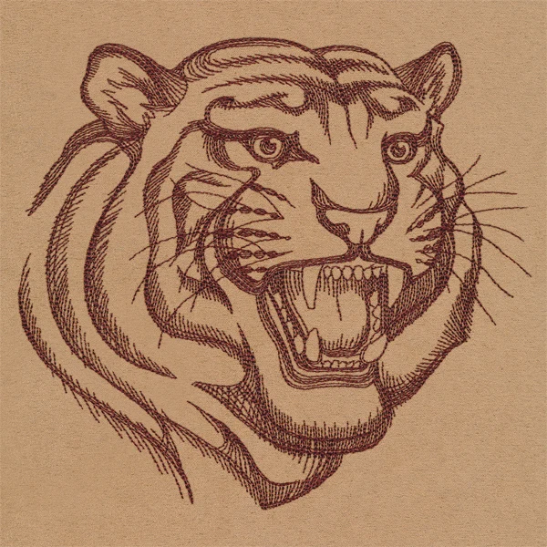 Tiger Talk - Image 6