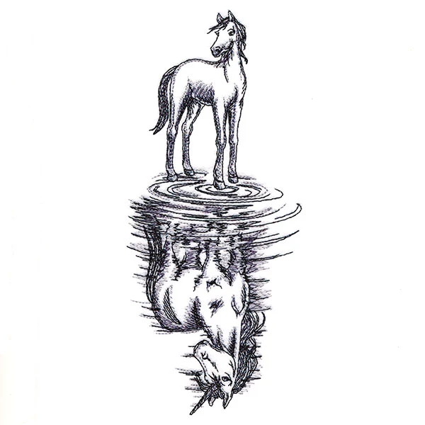 Unicorn Reflection - Image 3
