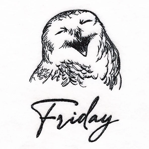 Who Gives a Hoot Owl on Friday - Image 5