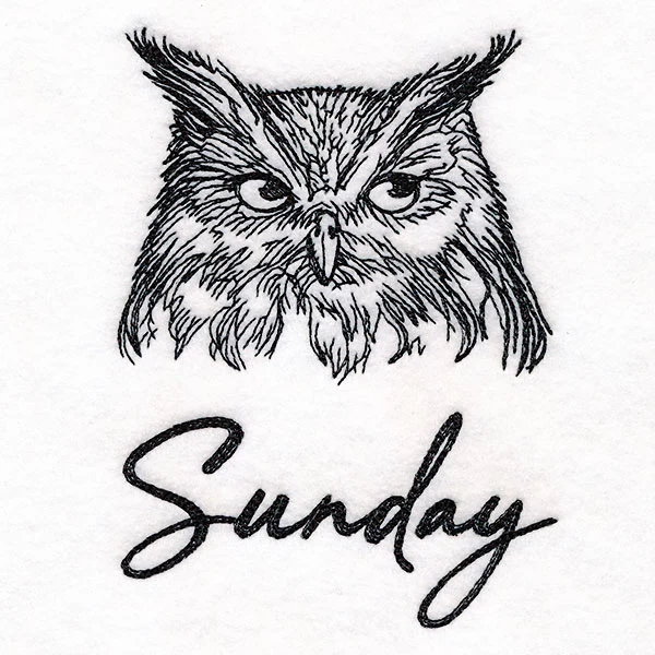 Who Gives a Hoot Owl on Sunday