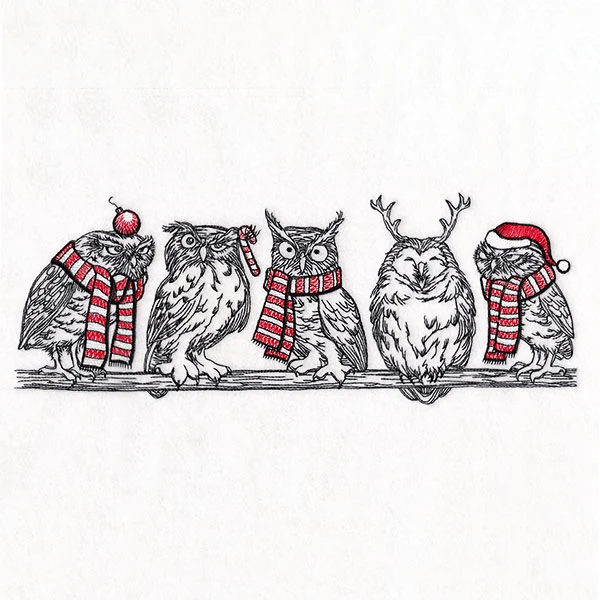 Whoo's Ready for Christmas Owl Border - Image 5