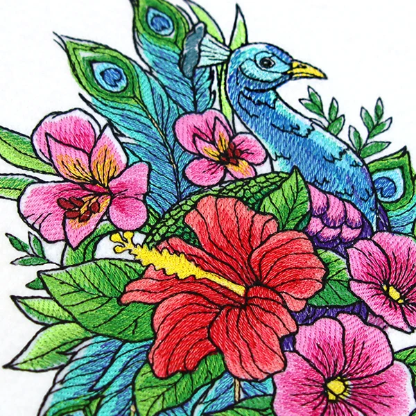 Wild Peacock in Flowers - Image 4