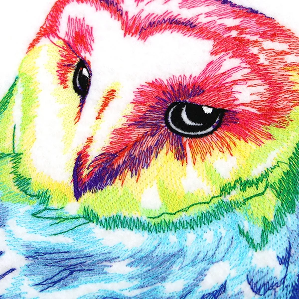 Wild Rainbow Owl - Image 2