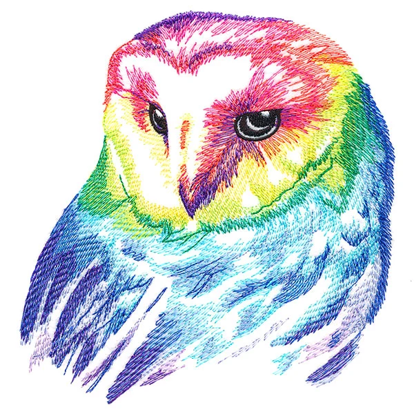 Wild Rainbow Owl - Image 3
