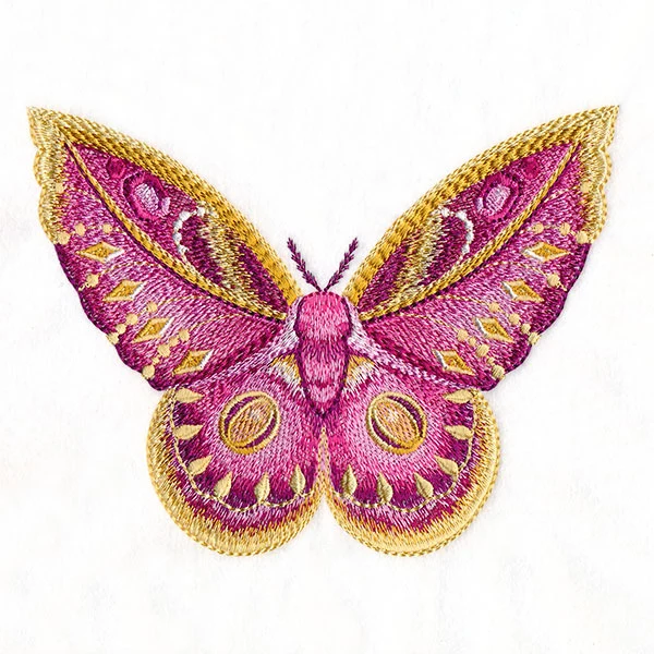 Winged & Beautiful - Image 5