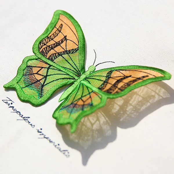 Winged Curiosities (3D Applique) (Design Pack) - Image 10