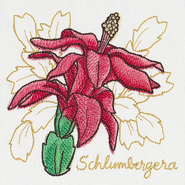 Yuletide Medley - Painted Christmas Cactus - Image 4